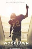 Постер Вудлон (2015)