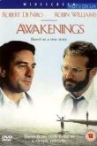 Постер Пробуждение (1990)