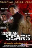 Постер Шрам Сербии (2009)