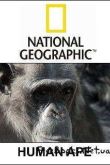 Постер National Geographic: Умнее обезьяны...? (2008)