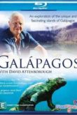 Постер Галапагосы с Дэвидом Аттенборо (2013) Все Серии