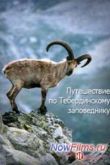 Постер Путешествие по Тебердинскому заповеднику (2013)