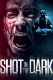 Постер Выстрел в темноте (2021)