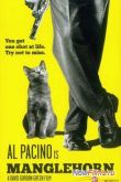 Постер Манглехорн (2014)