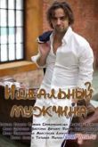 Постер Идеальный мужчина (2014)
