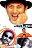 Постер Мистер Уайт и мистер Блэк (2008)