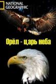 Постер Орел - царь неба (2014)