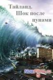 Постер Тайланд. Шок после цунами (2014)