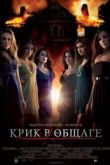 Постер Крик в общаге (2009)