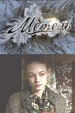 Постер Метель (2010)