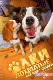 Постер Ёлки лохматые (2015)