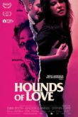 Постер Гончие любви (2016)
