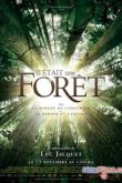 Постер Однажды в лесу (2013)