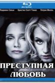Постер Преступная любовь (2010)