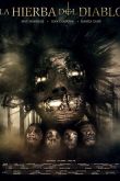 Постер Дьявольская трава (2024)