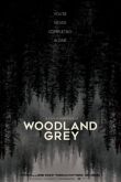 Постер Серый лес (2022)