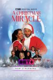 Постер Рождественское чудо (2024)