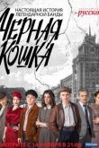 Постер Черная кошка (2016)