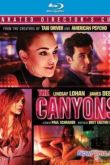 Постер Каньоны (2013)