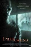 Постер Подземелье (2011)