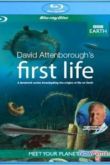 Постер BBC: Первая жизнь (2010)