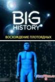 Постер Большая история: Восхождение плотоядных (2013)