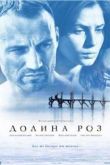 Постер Долина роз (2011)
