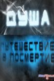 Постер Душа - Путешествие в посмертие (2013)
