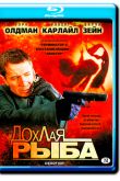 Постер Дохлая рыба (2004)