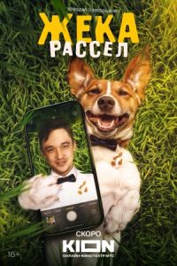 ���� ������ (2025)