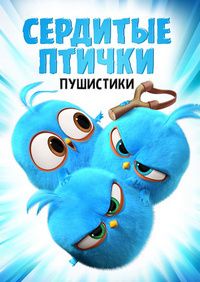 ���� ������ / ���� ����� / �������� ������ (2017)