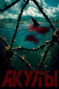 Акулы (2025) Акулы (2025)