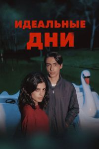 Идеальные дни (2025) Идеальные дни (2025)