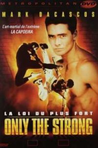 ������ ���������� (1993)