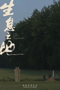 ���� �� ����� (2025)