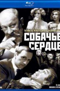 ������� ������ (1988)