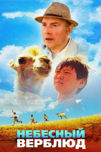 Небесный верблюд (2015) Небесный верблюд (2015)