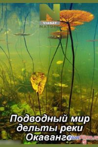 ��������� ��� ������ ���� �������� (2014)
