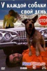 � ������ ������ ���� ���� (1997)