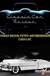 Discovery: ����� ����� �����-�����������. Cadillac (2013)