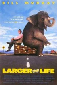 ������ ��� ����� (1996)