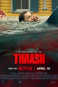 ������ ����� (2026)