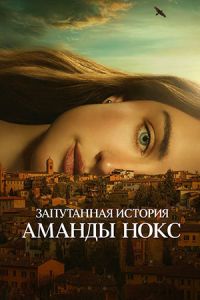 Запутанная история Аманды Нокс (2025) Запутанная история Аманды Нокс (2025)