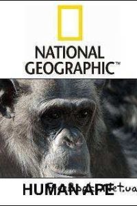 National Geographic: ����� ��������...? (2008)