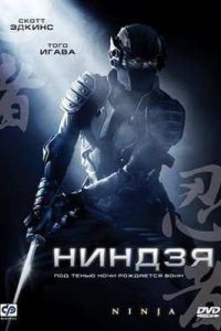 ������  (2009)