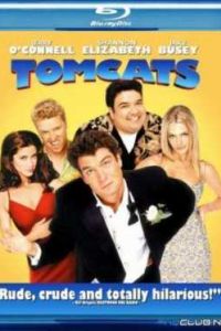 ���������� ���� (2001)