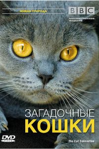 BBC: Загадочные кошки (2002) BBC: Загадочные кошки (2002)
