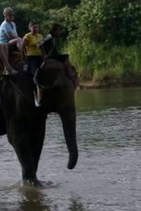 �� ������ � �����: �� ��������� �� ���� ���� (2005)
