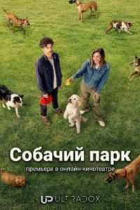 ������� ���� (2026)