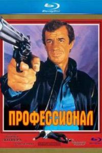 ������������ (1981)
